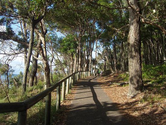 Noosa National Park