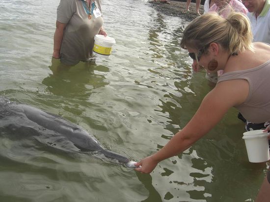 ...der kurz darauf von Dana gefüttert wird