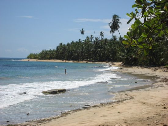 Playa Punta Uva (suedlich von Talamanca)