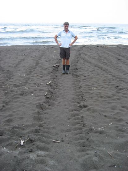 Rechts von Ludger ist die Spur der rechten Flossen der Schildkroete und links die Spur der linken Flossen zu sehen. Daran kann man ihre Groesse erkennen...!
Man beachte auch die Gummistiefel... Wir kamen von einem Dschungel-Walk.