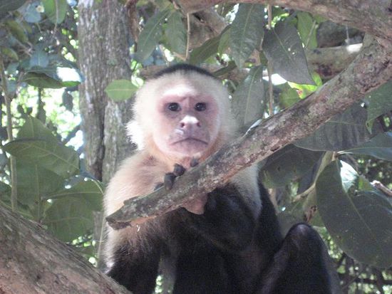 ein Blick in die Kamera!