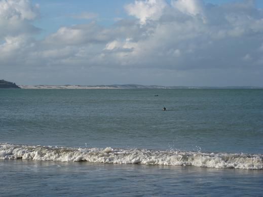 Wer genau hinguckt, erkennt vorne im Wasser Ludger und hinter ihm nen (echten!!!) Delphin!