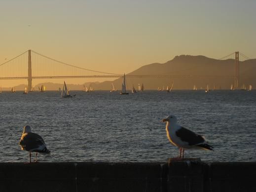 Hier die Golden Gate Bridge im Sonnenuntergang...!