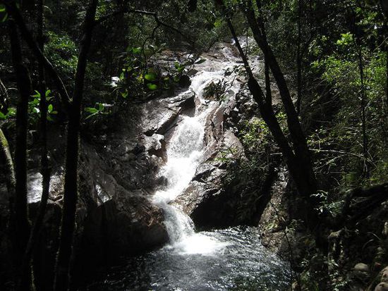 In der Finch Hatton Gorge.