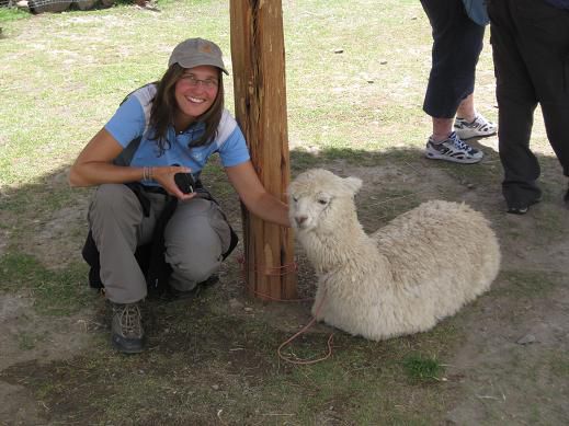 Hier ist das Resultat (naja, ein wenig verdeckt durch die Muetze...)! Neben mir sitzt ein Apaca, ein Verwandter des Lamas (Lamas haben laengere Ohren mussten wir uns belehren lassen...).