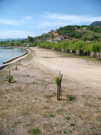 Stellplatz für WoMo und Pkw