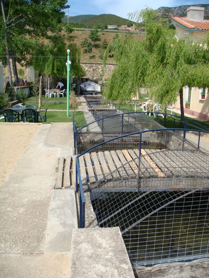 Fischzuchtanlage für Forelle und Koran