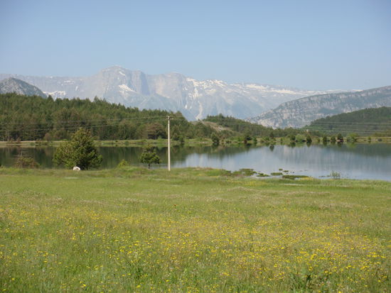 im weiteren Tagesverlauf