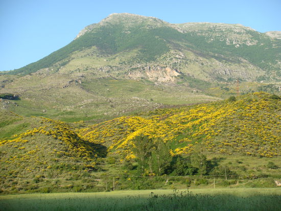 mit Aussicht auf die Natur