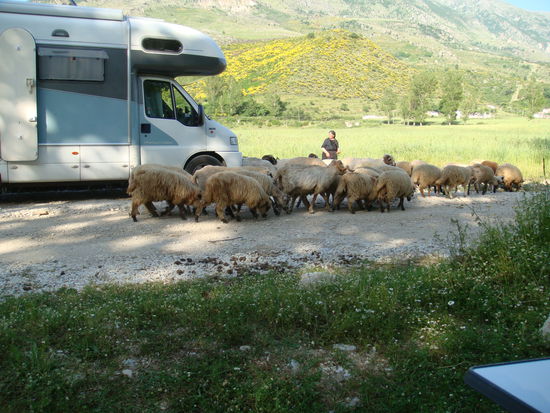 und den vieleicht meisten Lebewesen im Land