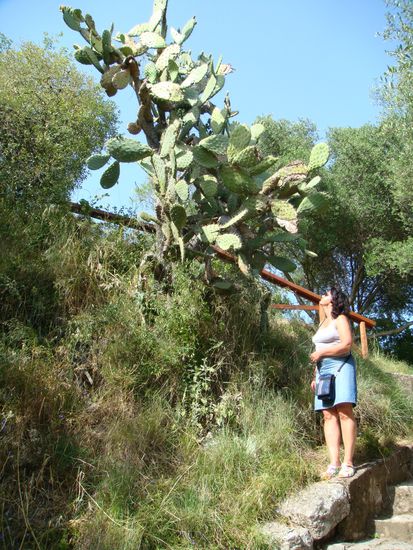 der Küste Richtung Vlore