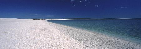 Shelley Beach
