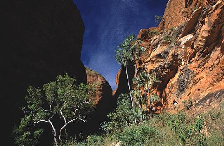 Eingang zum Mini Palms Gorge