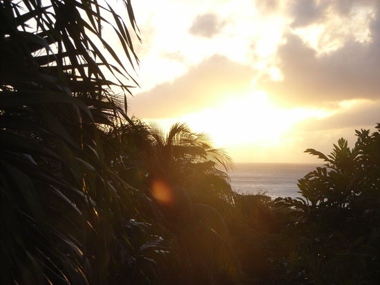 ABENDSTIMMUNG im Garten, 
auch nicht schlecht ...