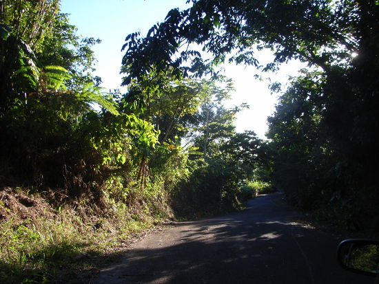 Landschaft in grün ...