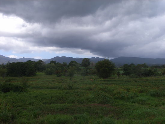 ... und natürlich LANDSCHAFT.