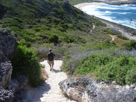 ... weiter geht's ...