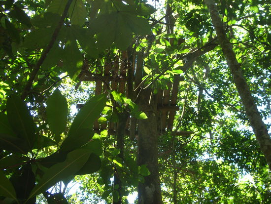 Tropisch GRUEN mit SONNE - so lieben wir es!!!
