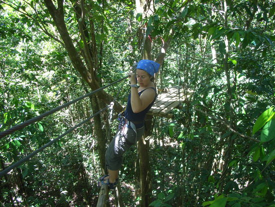 ... oder HANGELN uns von Baumriese zu Baumriese...