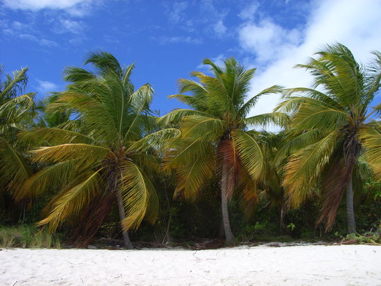 White Bay, Jost van Dyke - 
ziemlich KITSCHIG, oder?