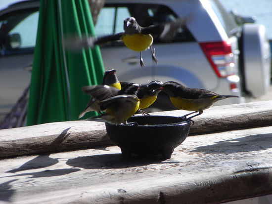 Bei CORSAIR's bekommt jeder seinen DRINK