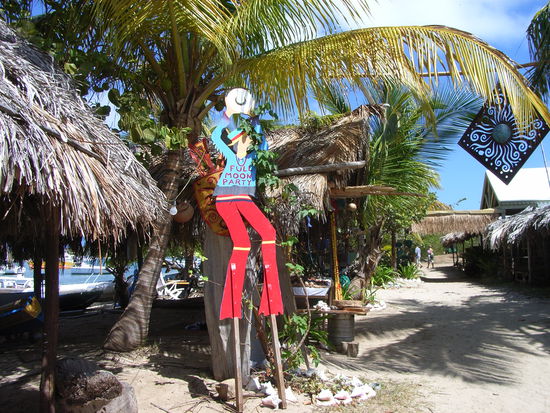 Trellis Bay - waiting for FULL MOON