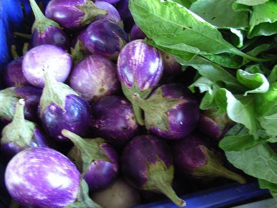 RUNDE Auberginen