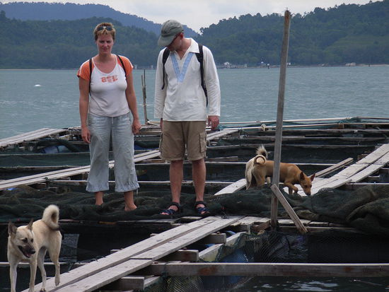 Sven und Silja begutachten die Lebendware.