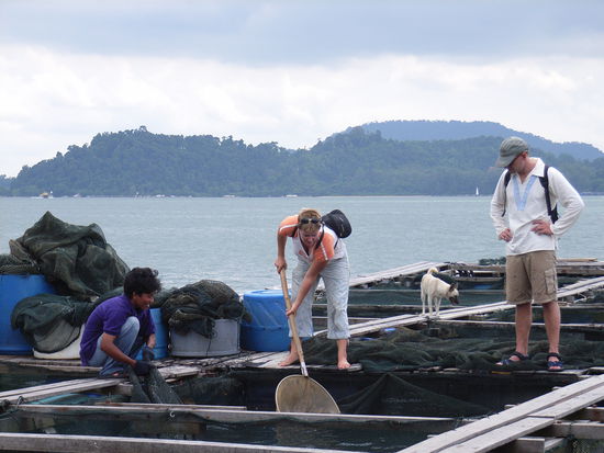 Und Silja sucht sie dann auch selbst aus!!! 
Sehr zur Freude der Einheimischen.