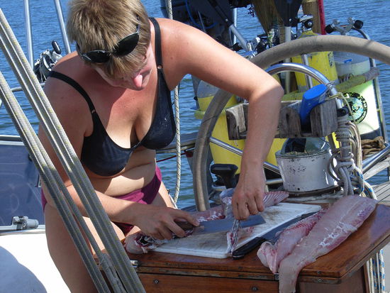 Silja filetiert ihn fachmännisch ...