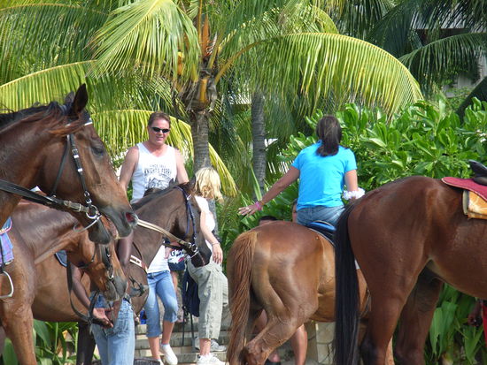 ... auf Pferderücken zu Lande ...