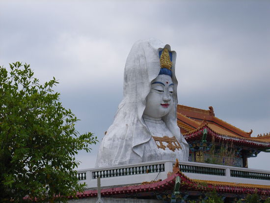 SWITCH: Jetzt geben wir uns das Kultur-Programm!