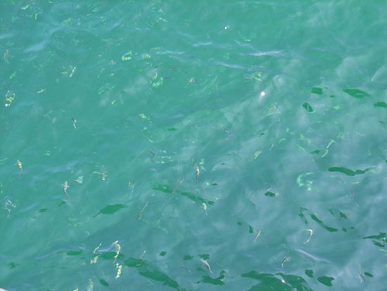 Das Wasser vor Pulau Payar: mal türkis...