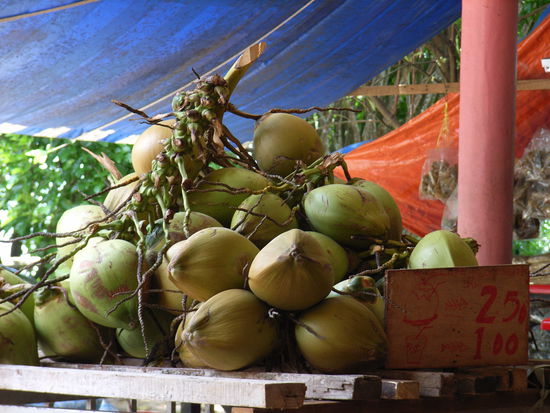 Bergeweise Kokusnüsse