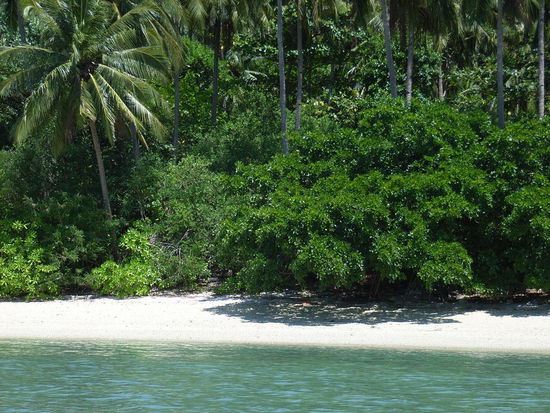 Eine Insel nur für uns allein!