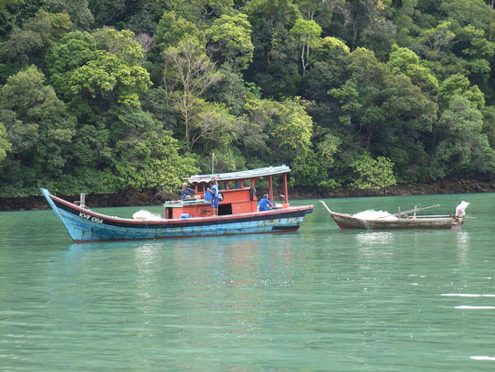 Gleich neben uns - wie überaus praktisch - wird GEFISCHT ...