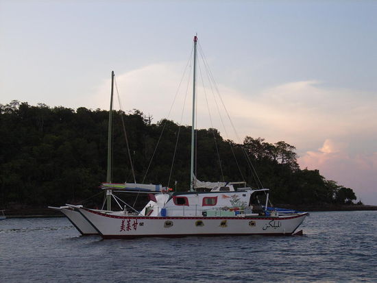 Sieht ja ganz lustig aus der Hippie Kat, aber des nachts ...