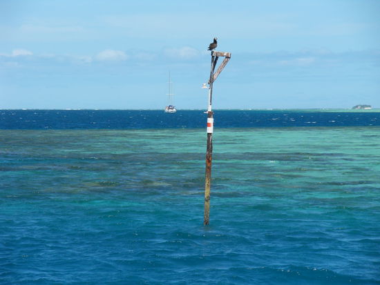 Seezeichen mit Vogel.