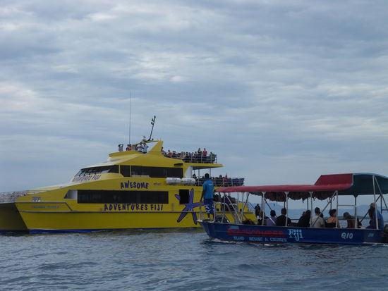 Wir pirschen uns an die "Haltestelle" an,  die Kiddies von Beachcomber Island wirken ziemlich müde.