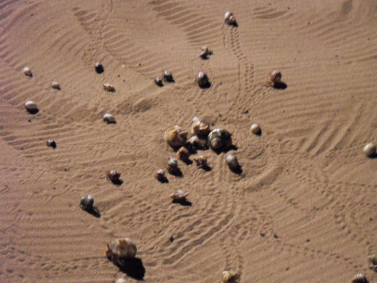 Die Athleten machen sich bereit zum START ...