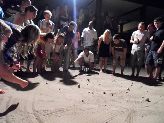 ... geht es jetzt im SCHNECKENTEMPO zur Sache!!!