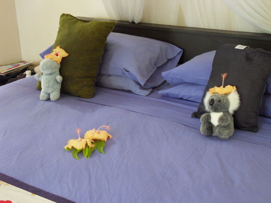 So arrangiert finden wir jeden Morgen unseren Bungalow wieder - Hibiscusblüten für jeden!!!