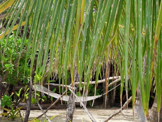 ... zur nächsten Hängematte!!!