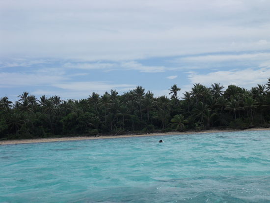 Die Insel rückt näher. Unendlich viele Palmen säumen das Ufer, ich gerate ins Schwärmen.