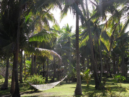 Hängematte fürs gemütliche Abhängen tagsüber - allerdings nicht, ohne vorher genügend AUTAN aufzulegen ...
