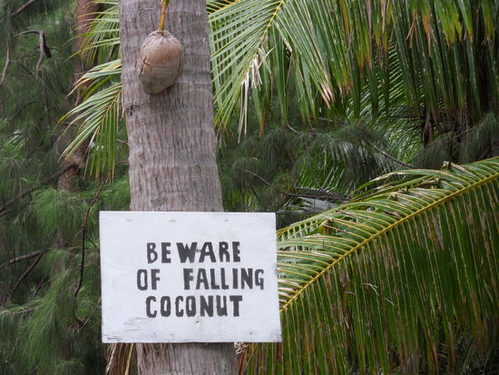 Es ist ziemlich gefährlich hier!!!