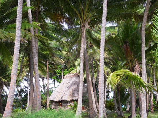 Palmen, Palmen, noch mehr Palmen - dazwischen nur eine Handvoll Hütten. Keine Massenabfertigung bei Otto &amp; Funny´s. Gut so!!!