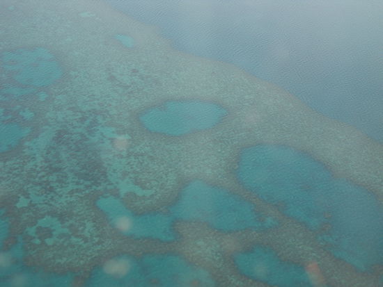 Hervorragende Sicht auf Korallenriffe ...