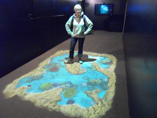 Auf zum Aquarium-Spaß!!!