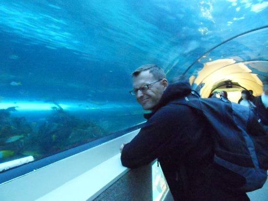 Wir gucken nicht in DIE aber in DER Röhre. Und da sehen wir ...